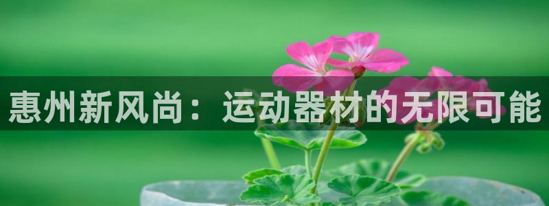 凯捷体育集团简介：惠州新风尚：运动器材的无限可能