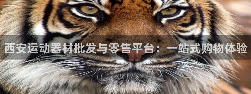 凯捷体育招商电话号码：西安运动器材批发与零售平台：一