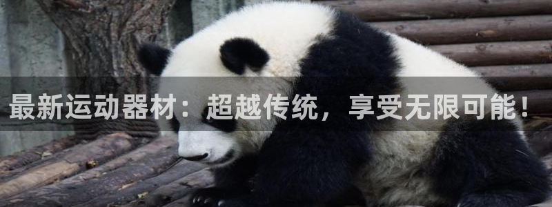 凯捷体育招商电话地址：最新运动器材：超越传统，享受无