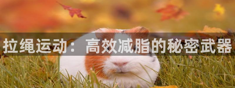 海南凯捷体育：拉绳运动：高效减脂的秘密武器