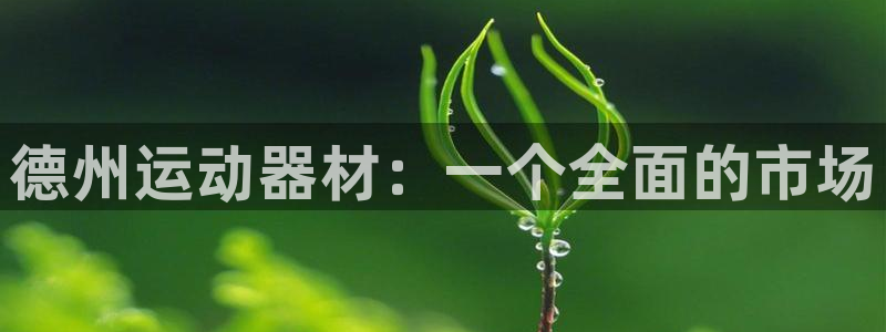 凯捷体育集团logo：德州运动器材：一个全面的市场