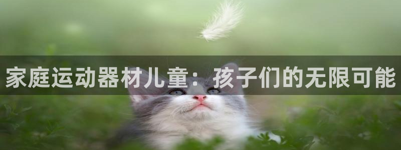 凯捷体育平台注册流程视频：家庭运动器材儿童：孩子们的