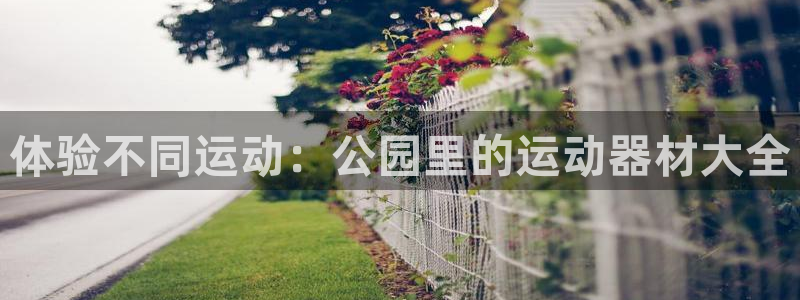 凯捷体育平台假的吗是真的吗：体验不同运动：公园里的运