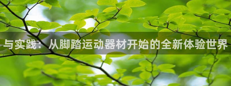 凯捷体育官方：与实践：从脚踏运动器材开始的全新体验世