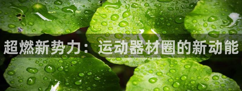 凯捷体育招商电话是多少啊：超燃新势力：运动器材圈的新
