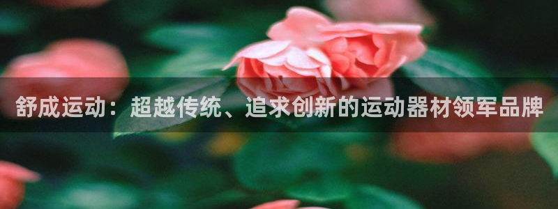 凯捷体育娱乐是那个系列的台子：舒成运动：超越传统、追