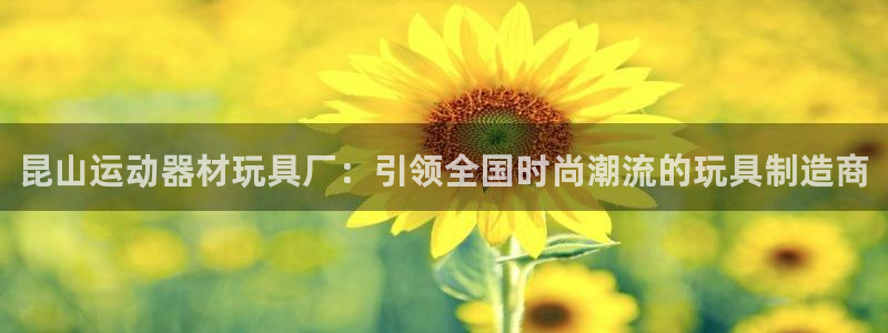 凯捷体育集团官网网址：昆山运动器材玩具厂：引领全国时