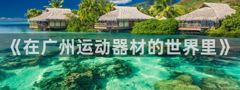 凯捷体育注册：《在广州运动器材的世界里》