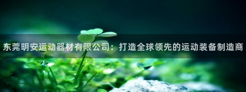 凯捷体育集团：东莞明安运动器材有限公司：打造全球领先的运动装