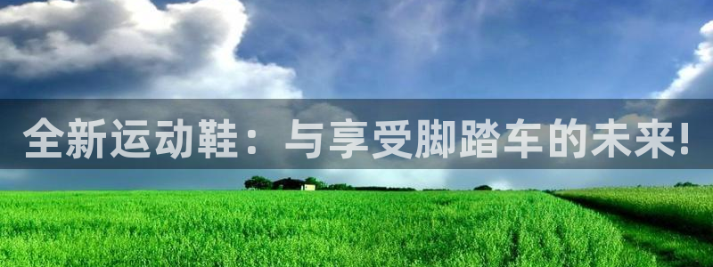 凯捷体育是干嘛的公司