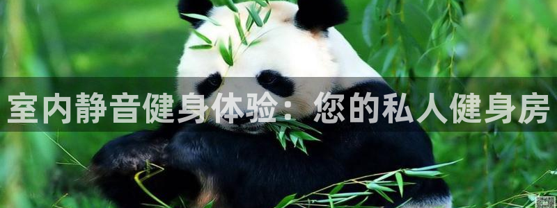 凯捷体育官网：室内静音健身体验：您的私人健身房