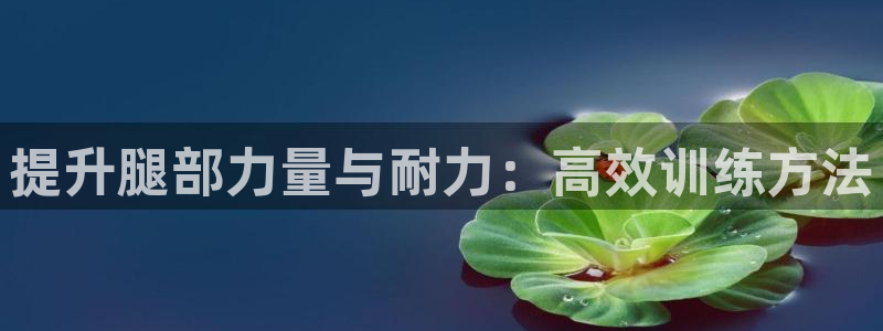 凯捷体育招商电话地址查询：提升腿部力量与耐力：高效训练方法