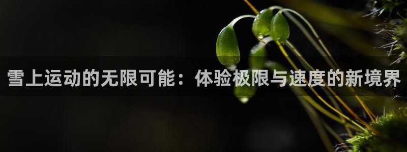 凯捷体育开户