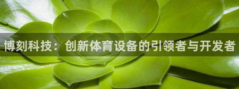 凯捷体育招商电话是多少