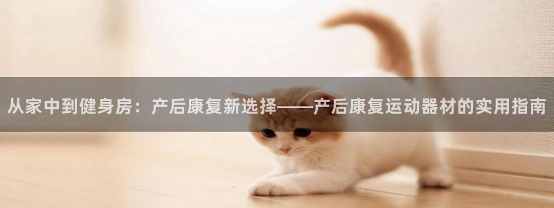 凯捷体育集团E.ON：从家中到健身房：产后康复新选择——产后