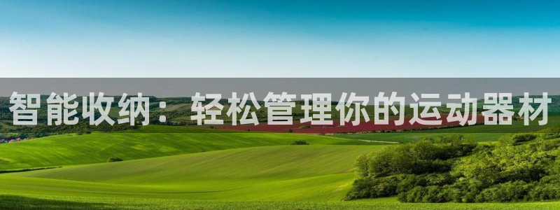 意昂平台体育：智能收纳：轻松管理你的运动器材